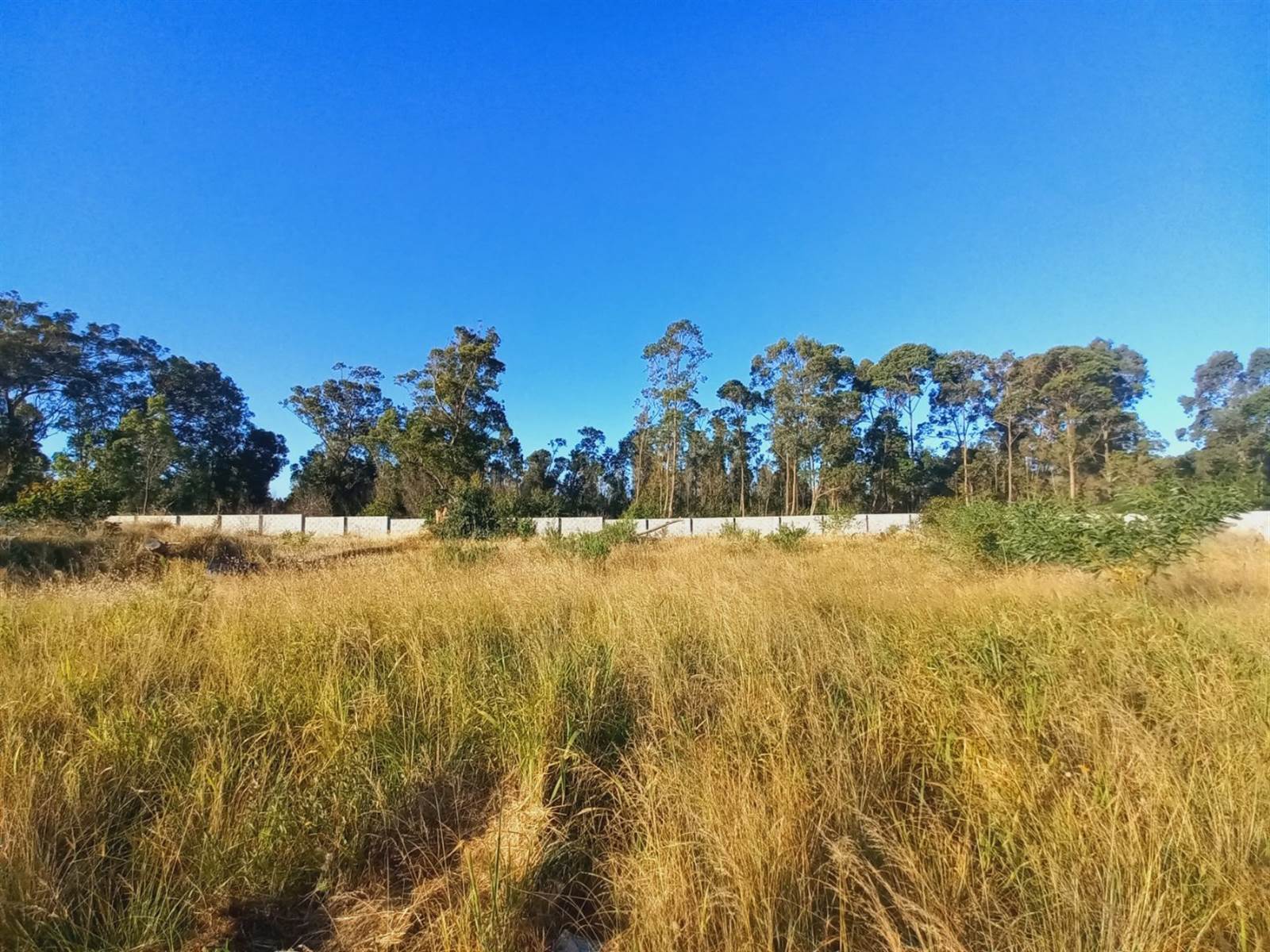700 m² Land available in Pinelands photo number 2