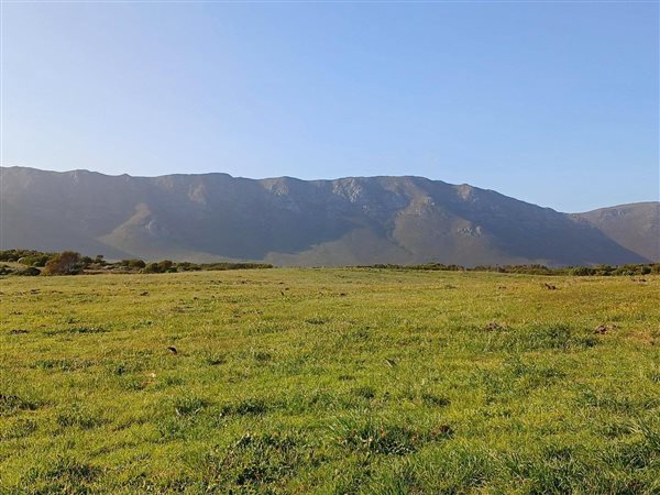 595 m² Land 595 m² Land