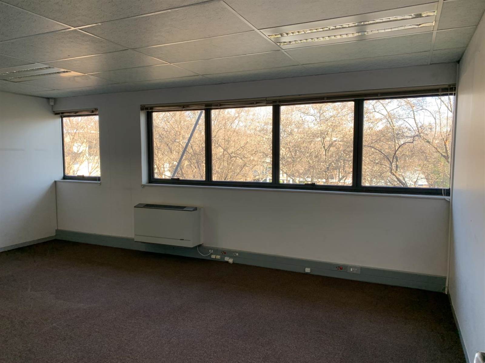 313  m² Commercial space in Randjespark photo number 5