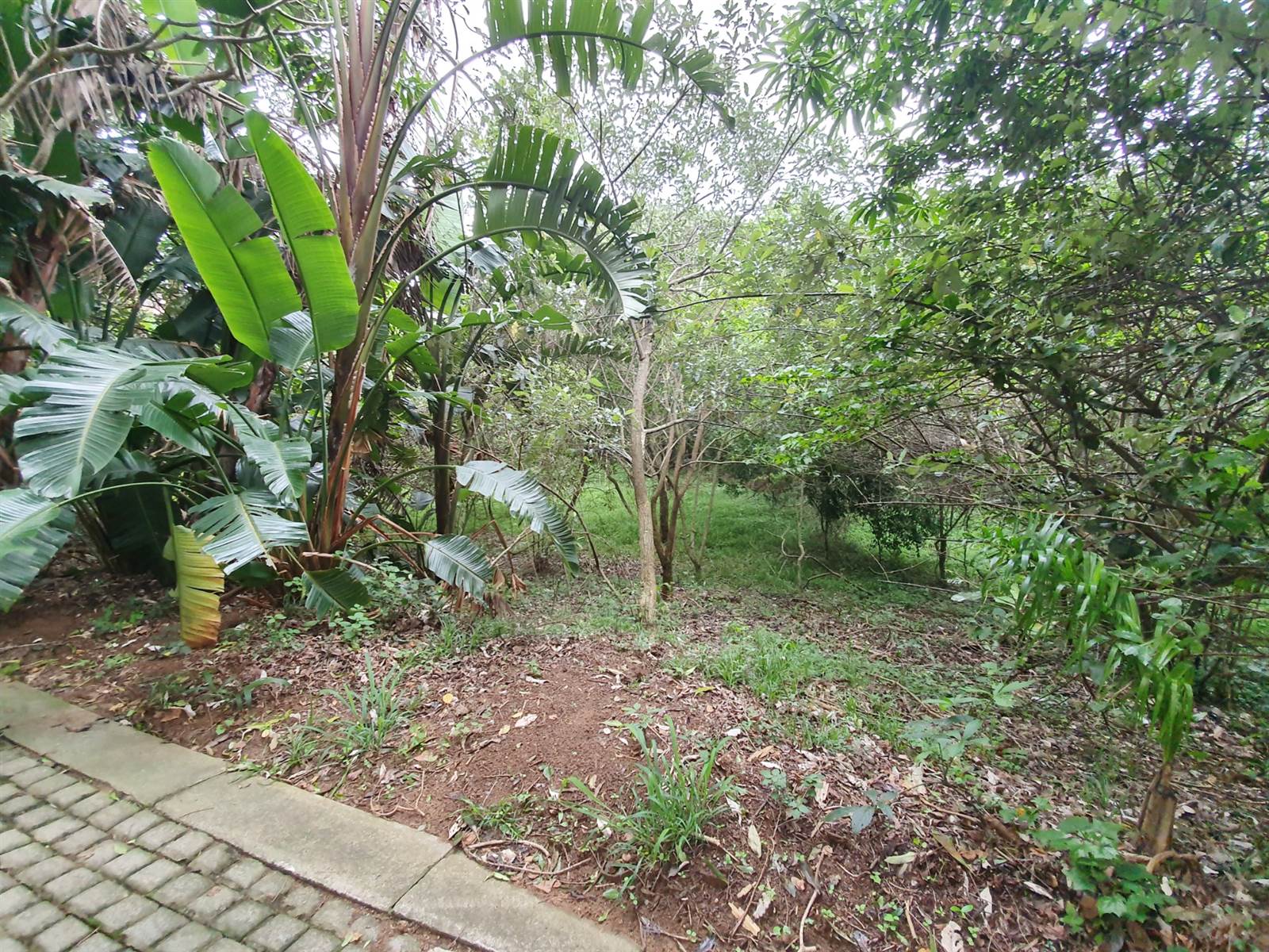 1743 m² Land available in Zimbali Estate photo number 15