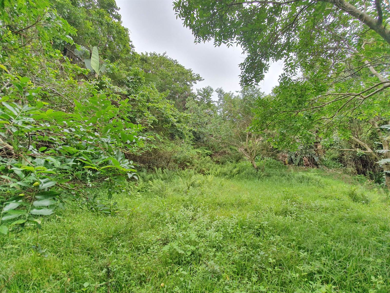 1743 m² Land available in Zimbali Estate photo number 13