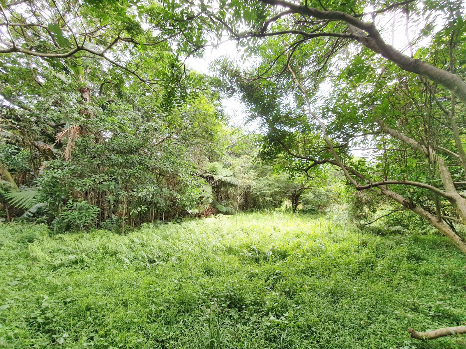 1743 m² Land available in Zimbali Estate photo number 10