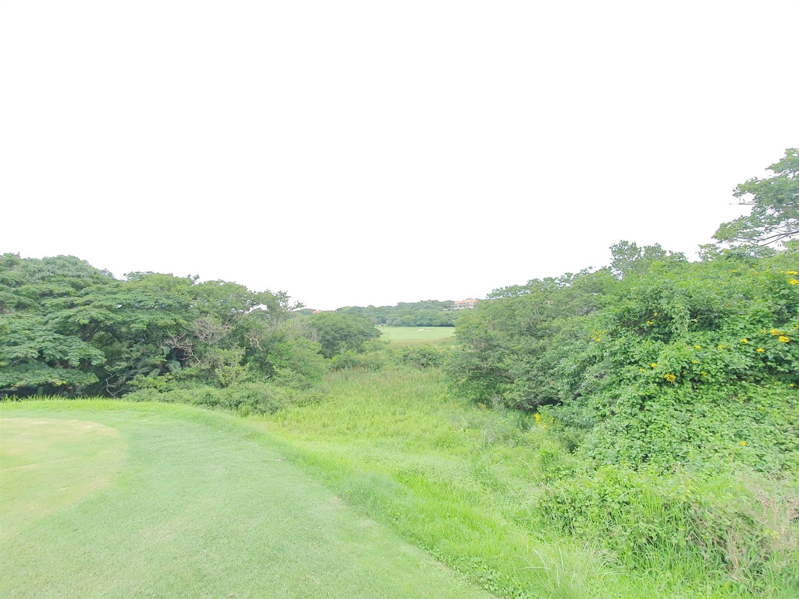 1743 m² Land available in Zimbali Estate photo number 3