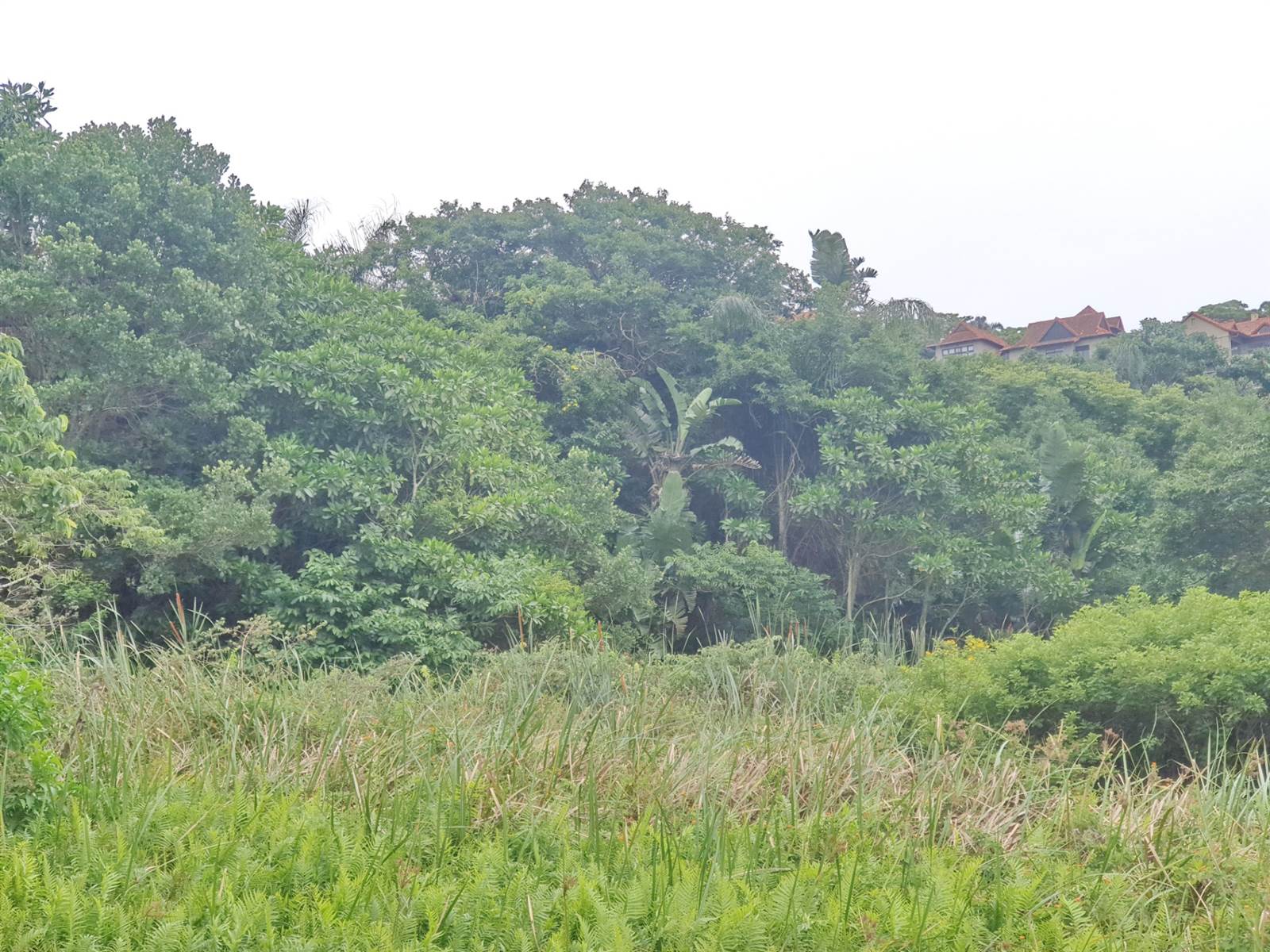 1743 m² Land available in Zimbali Estate photo number 6