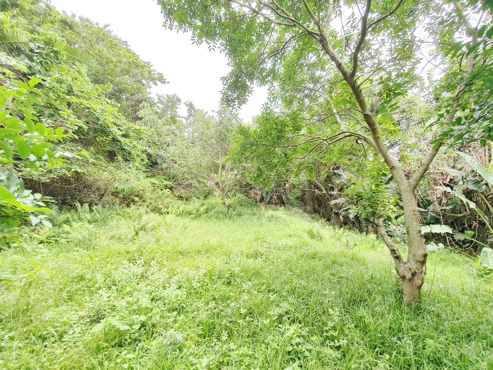1743 m² Land available in Zimbali Estate photo number 16