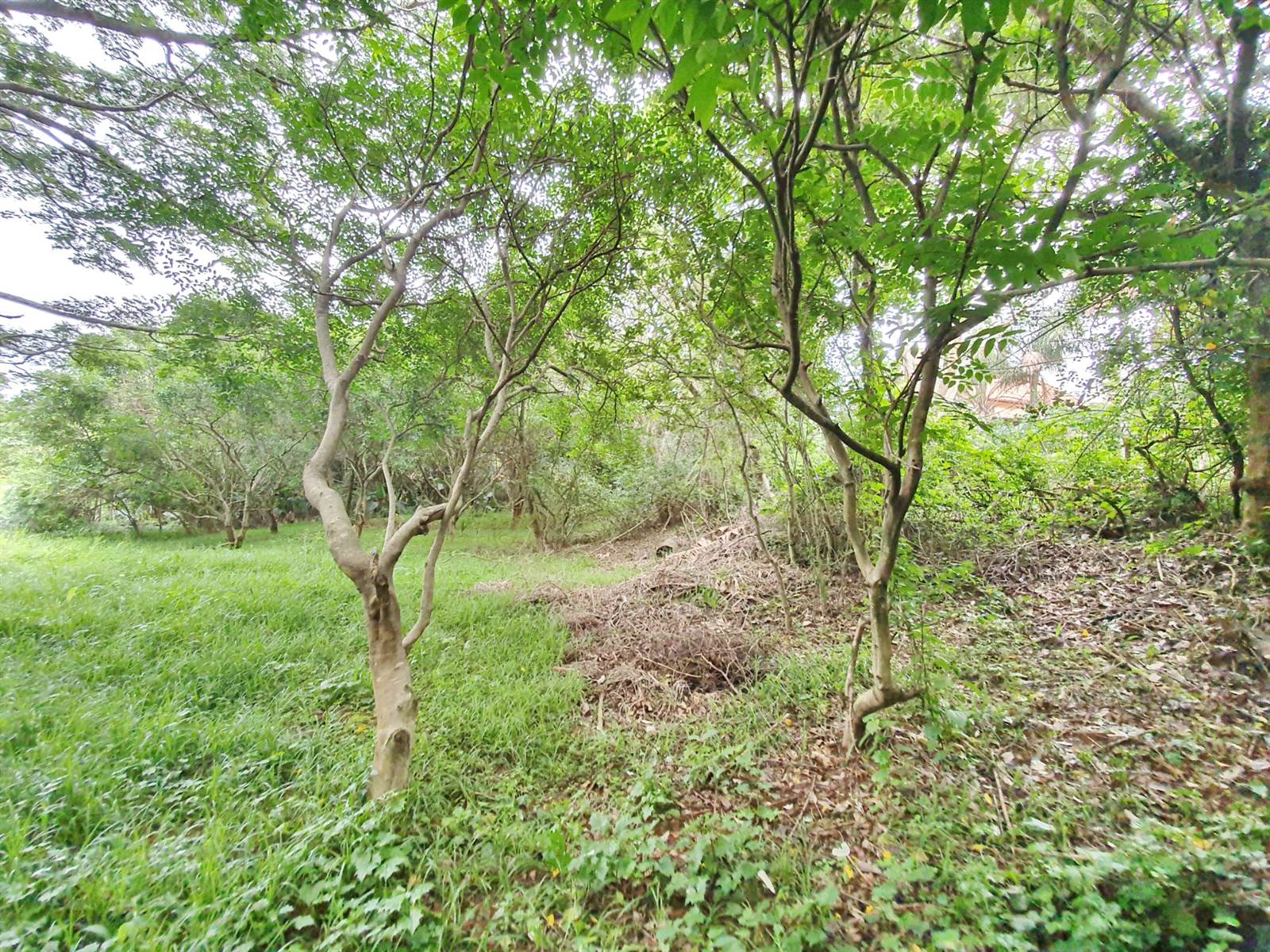 1743 m² Land available in Zimbali Estate photo number 14