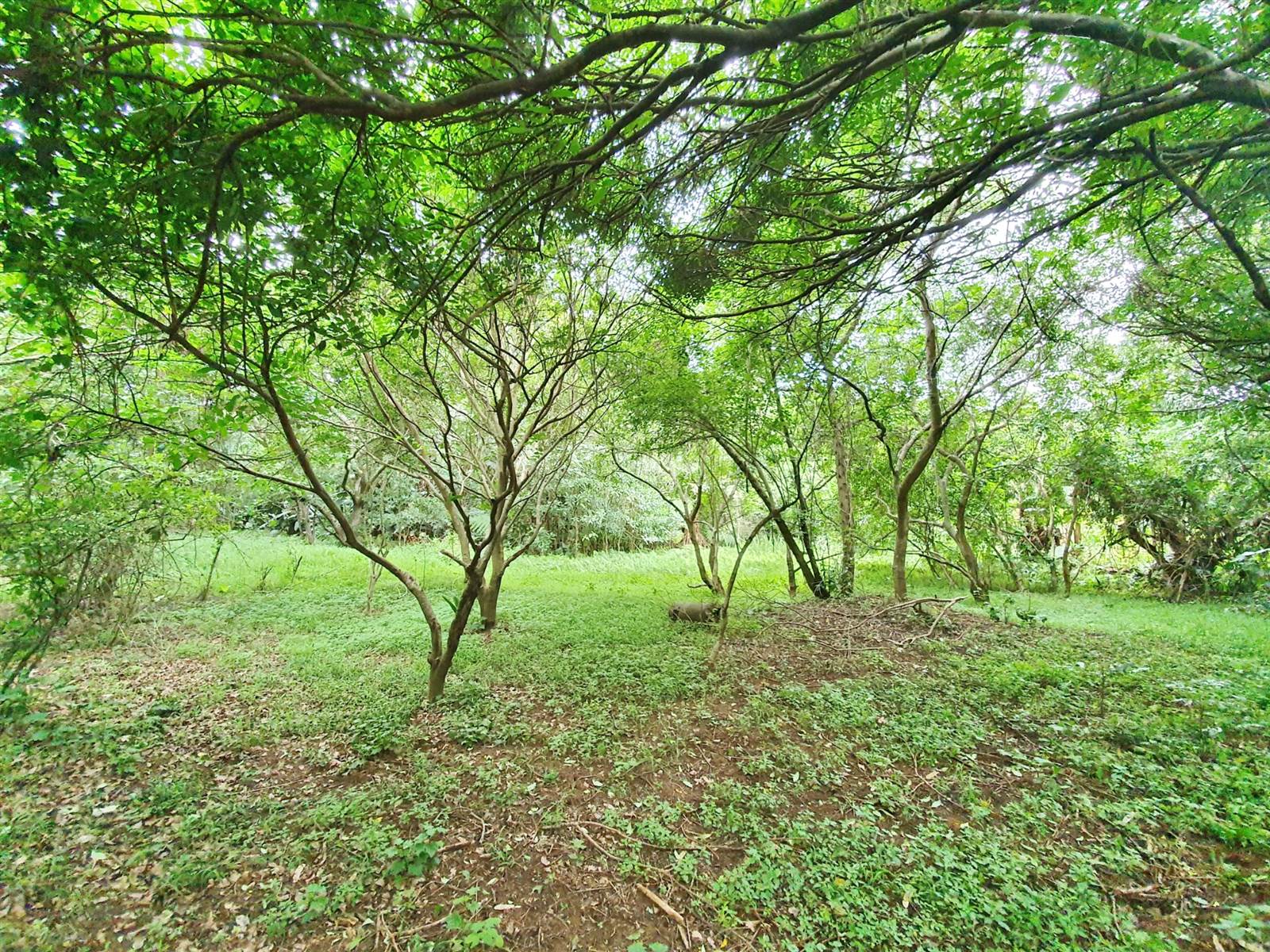 1743 m² Land available in Zimbali Estate photo number 8