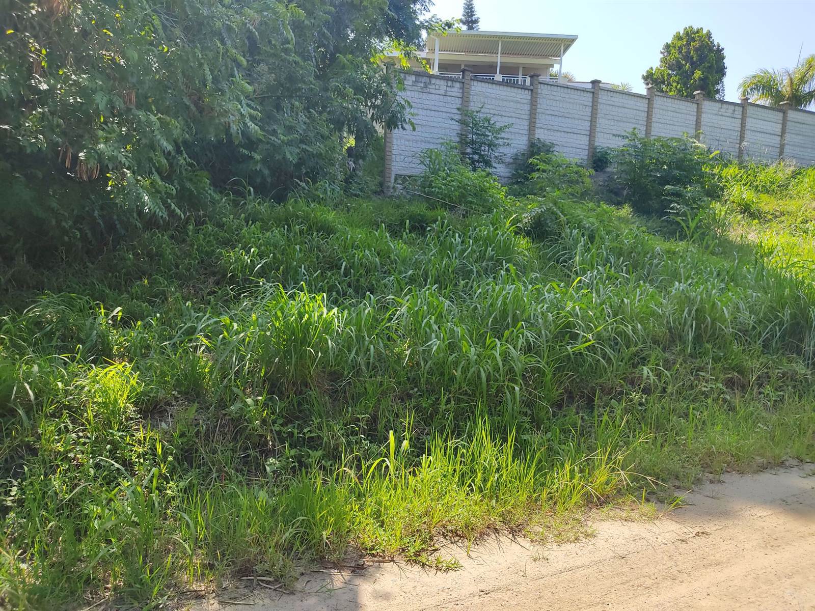 1380 m² Land available in Margate photo number 5