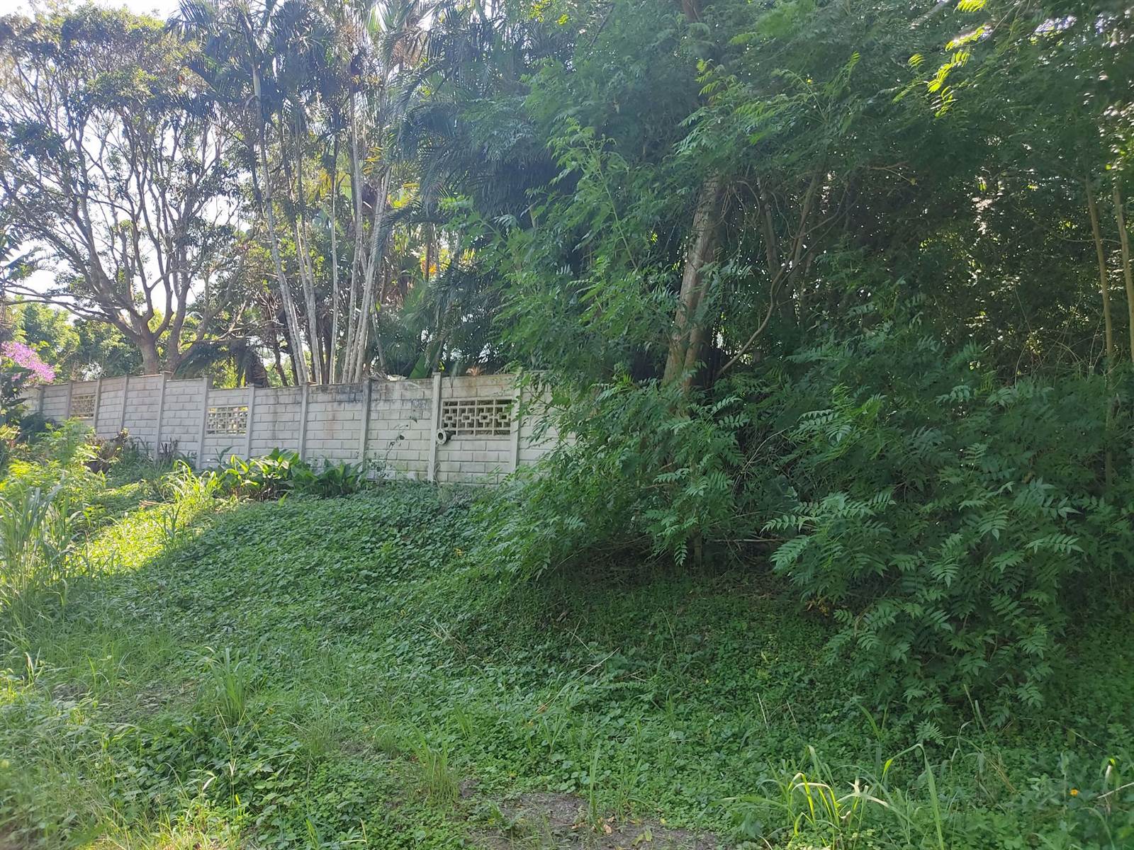 1380 m² Land available in Margate photo number 3