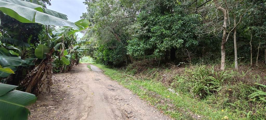 2276 m² Land available in Southbroom photo number 7