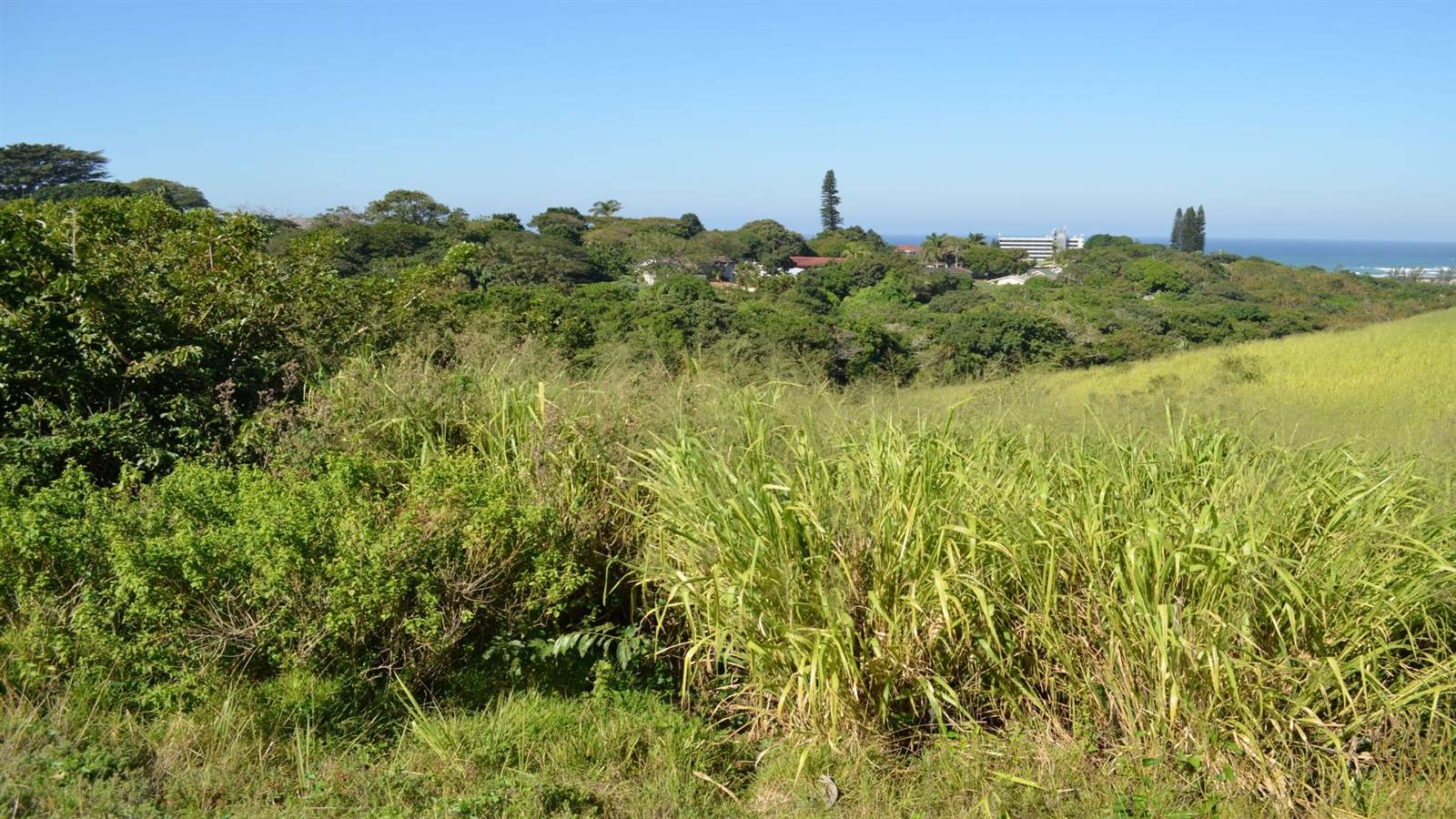 608 m² Land available in Sea Park photo number 4