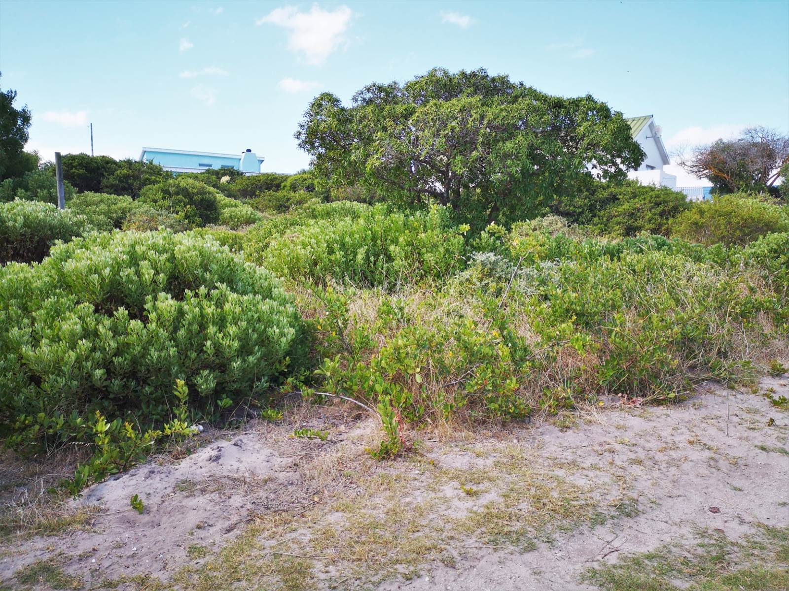 863 m² Land available in Pearly Beach photo number 4