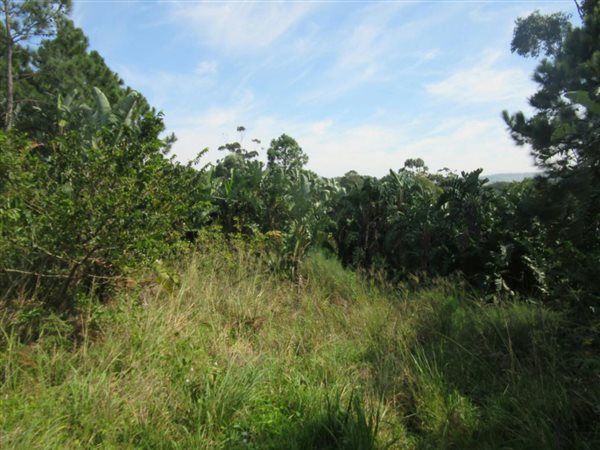 1 408 m² Land