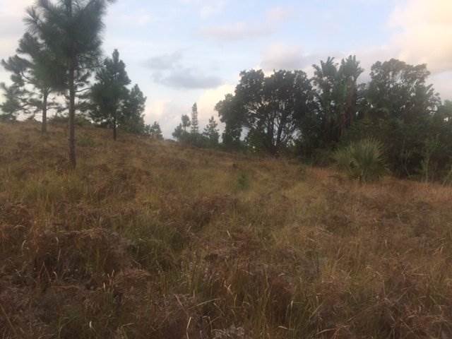 2327 m² Land available in Palm Beach photo number 2