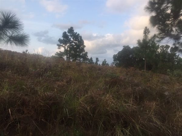 2327 m² Land available in Palm Beach