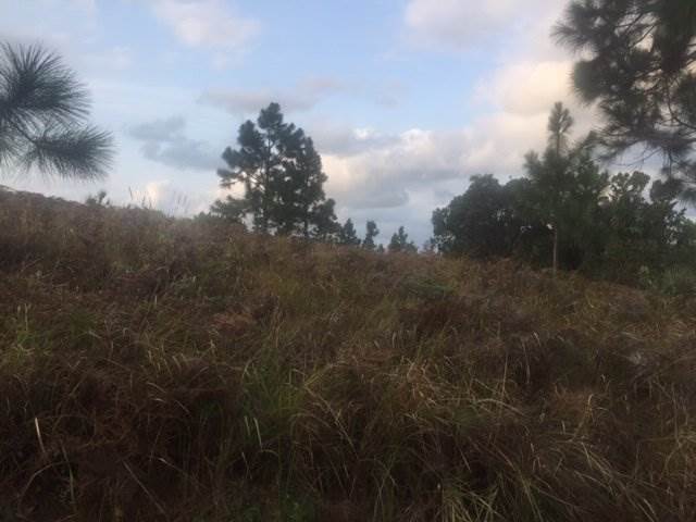 2327 m² Land available in Palm Beach photo number 1