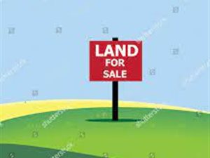 560 m² Land available in Welbedacht