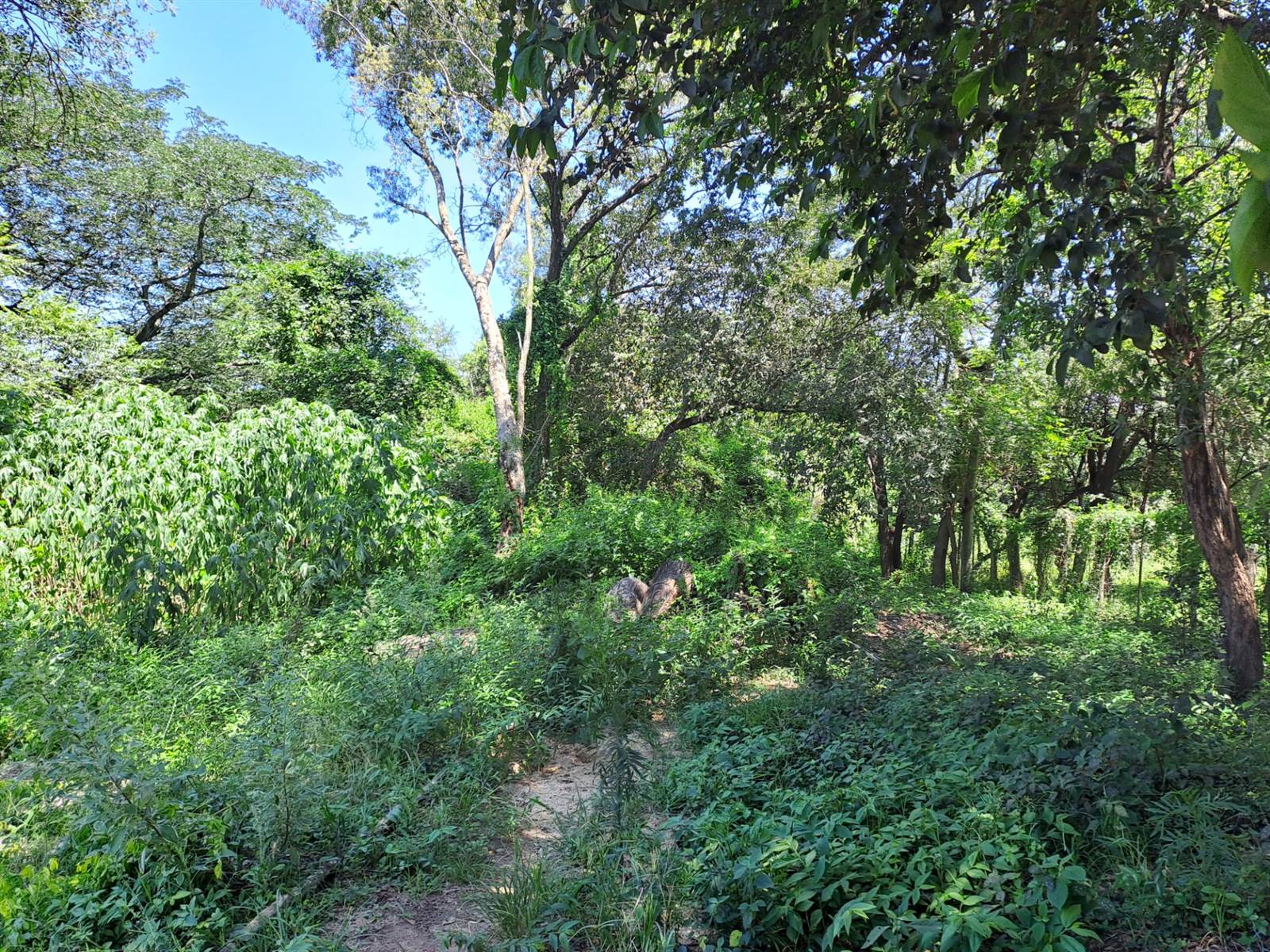 1444 m² Land available in Hazyview photo number 3