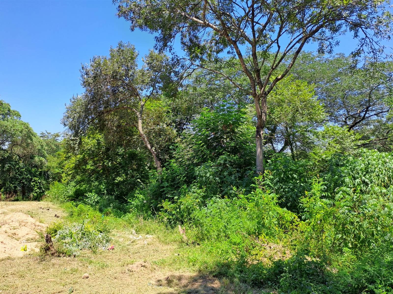 1444 m² Land available in Hazyview photo number 2
