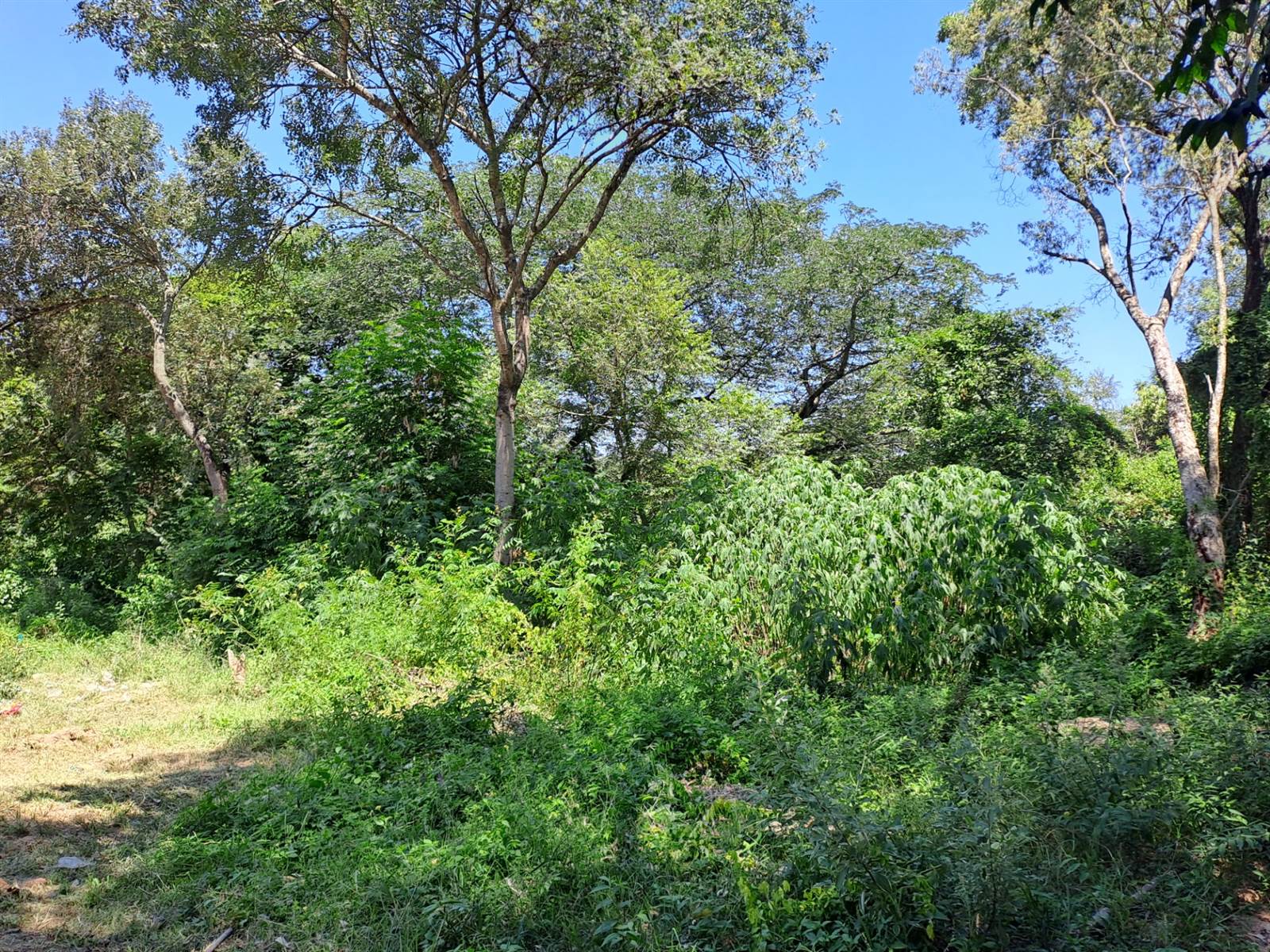 1444 m² Land available in Hazyview photo number 4