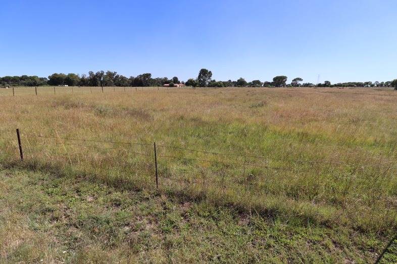 10712 ha Land available in Vallombrosa photo number 2