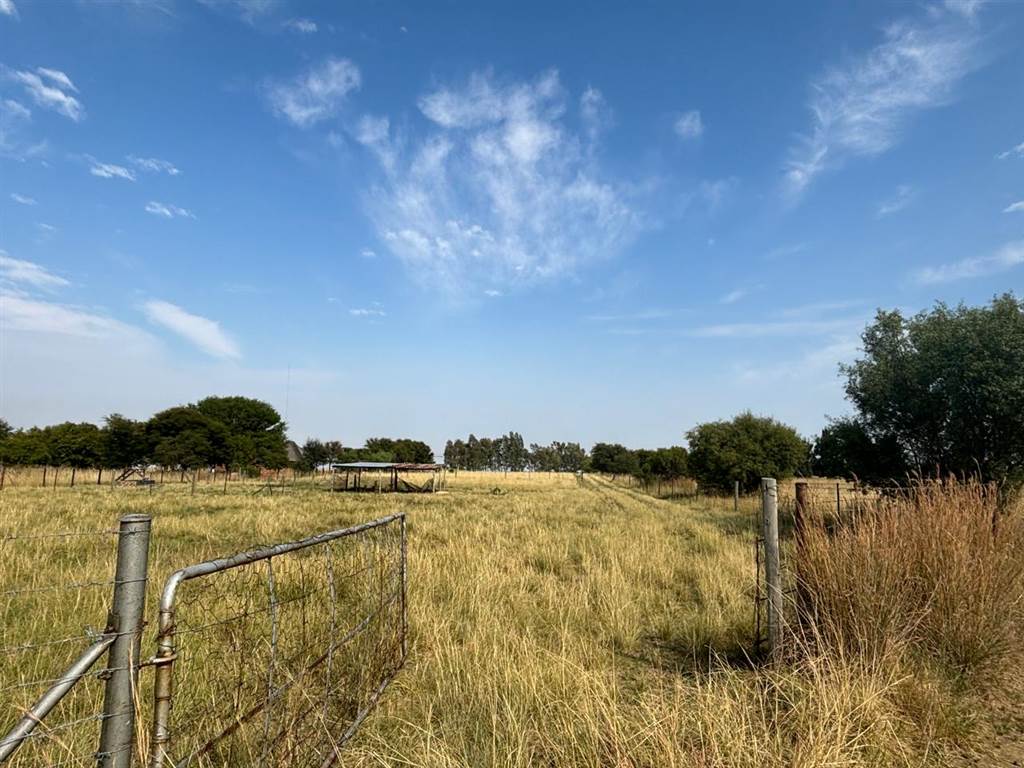 2 ha Land available in Oranjeville photo number 6