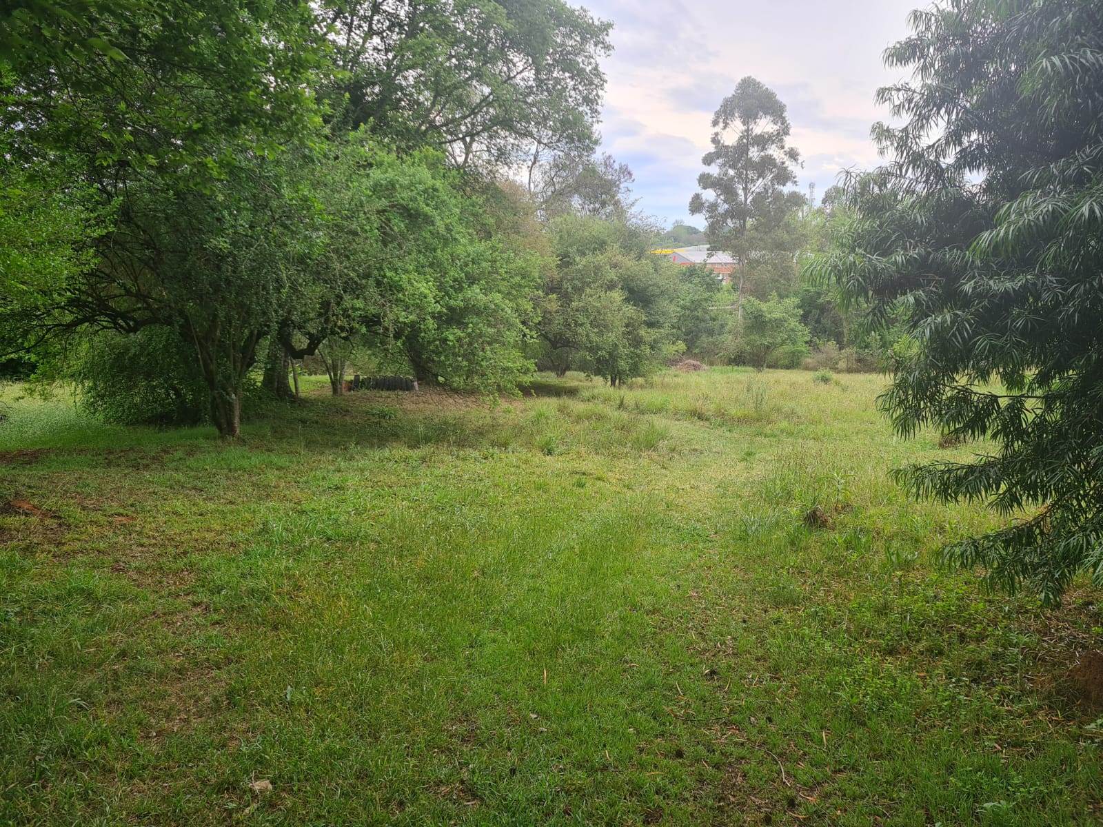 1.8 ha Land available in Howick photo number 13
