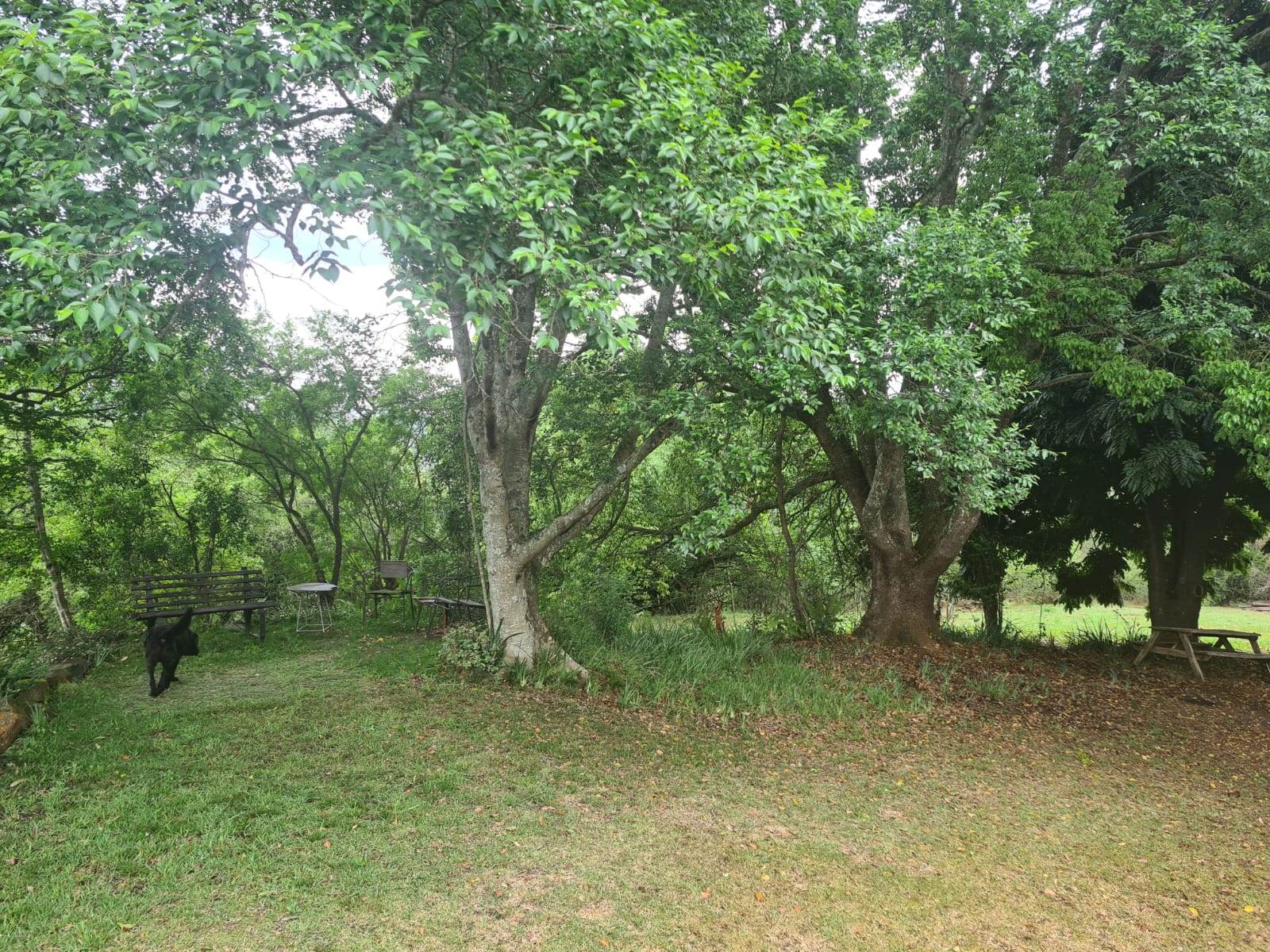 1.8 ha Land available in Howick photo number 2