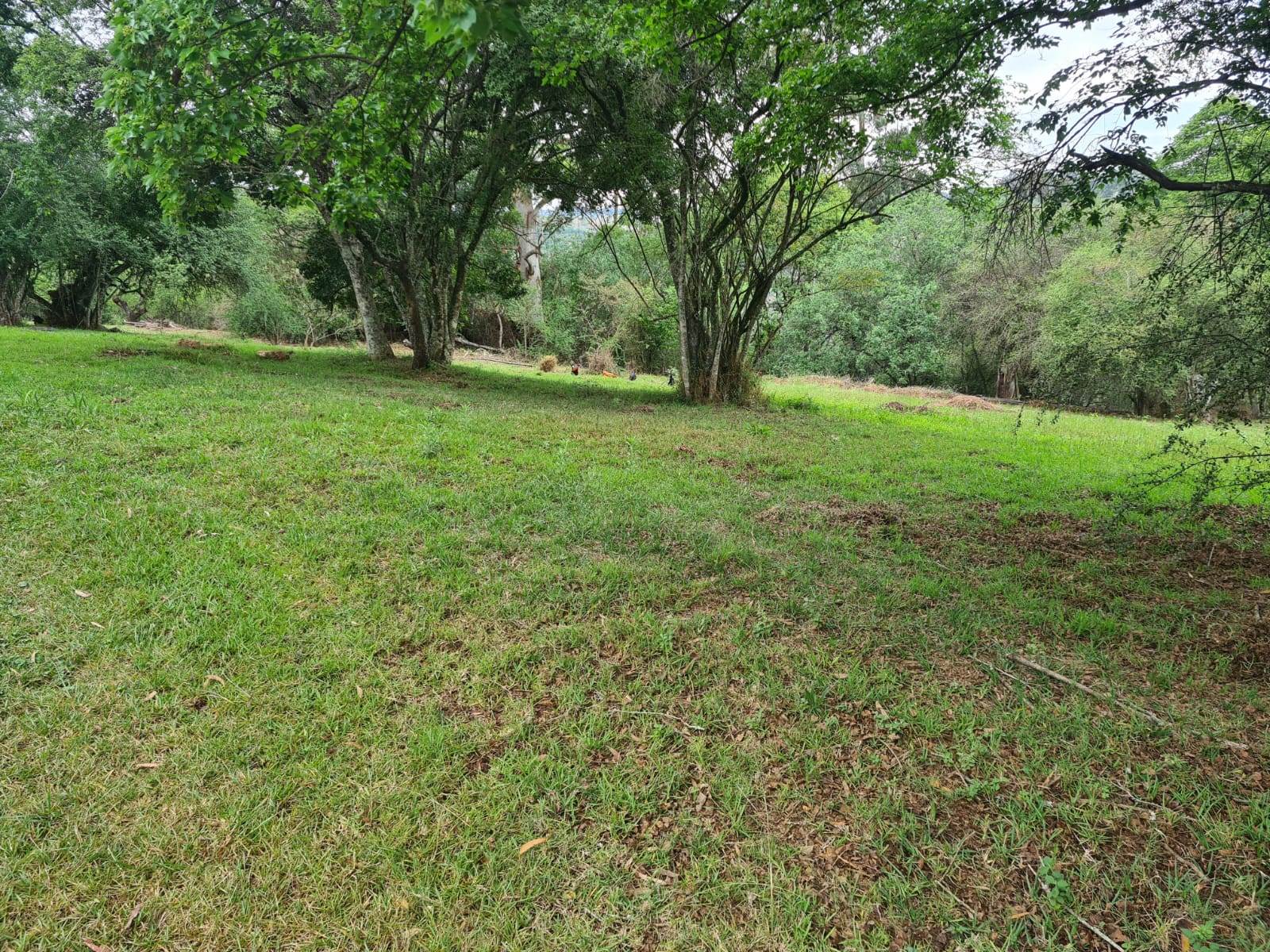 1.8 ha Land available in Howick photo number 15