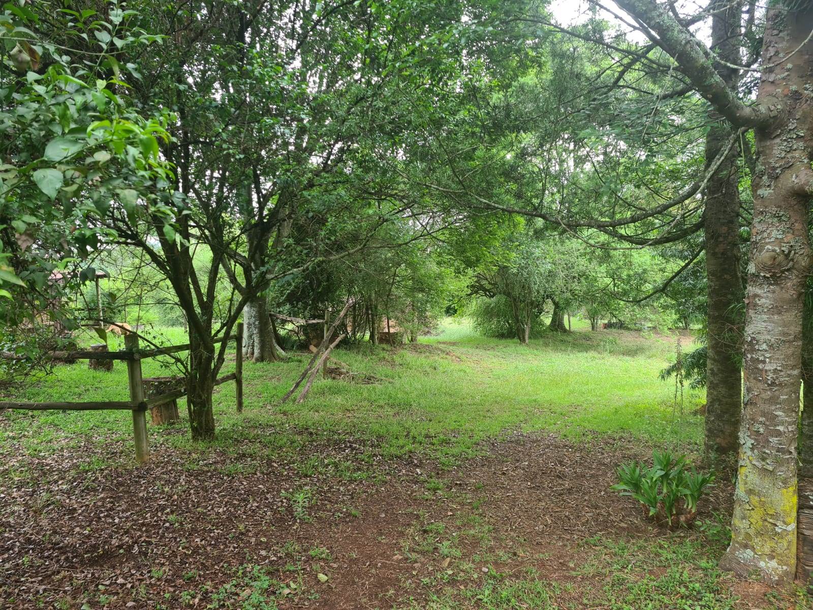 1.8 ha Land available in Howick photo number 5