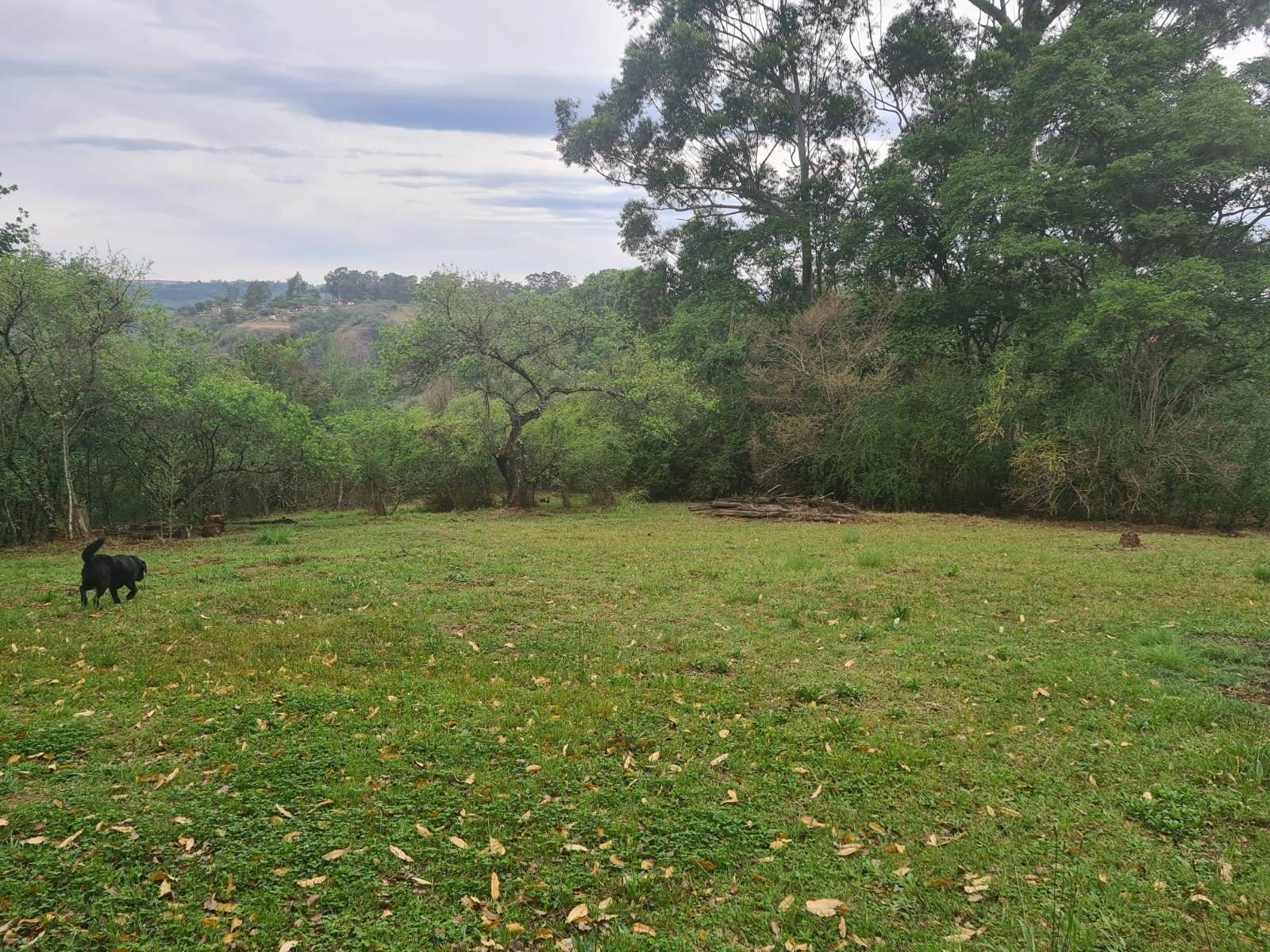 1.8 ha Land available in Howick photo number 6
