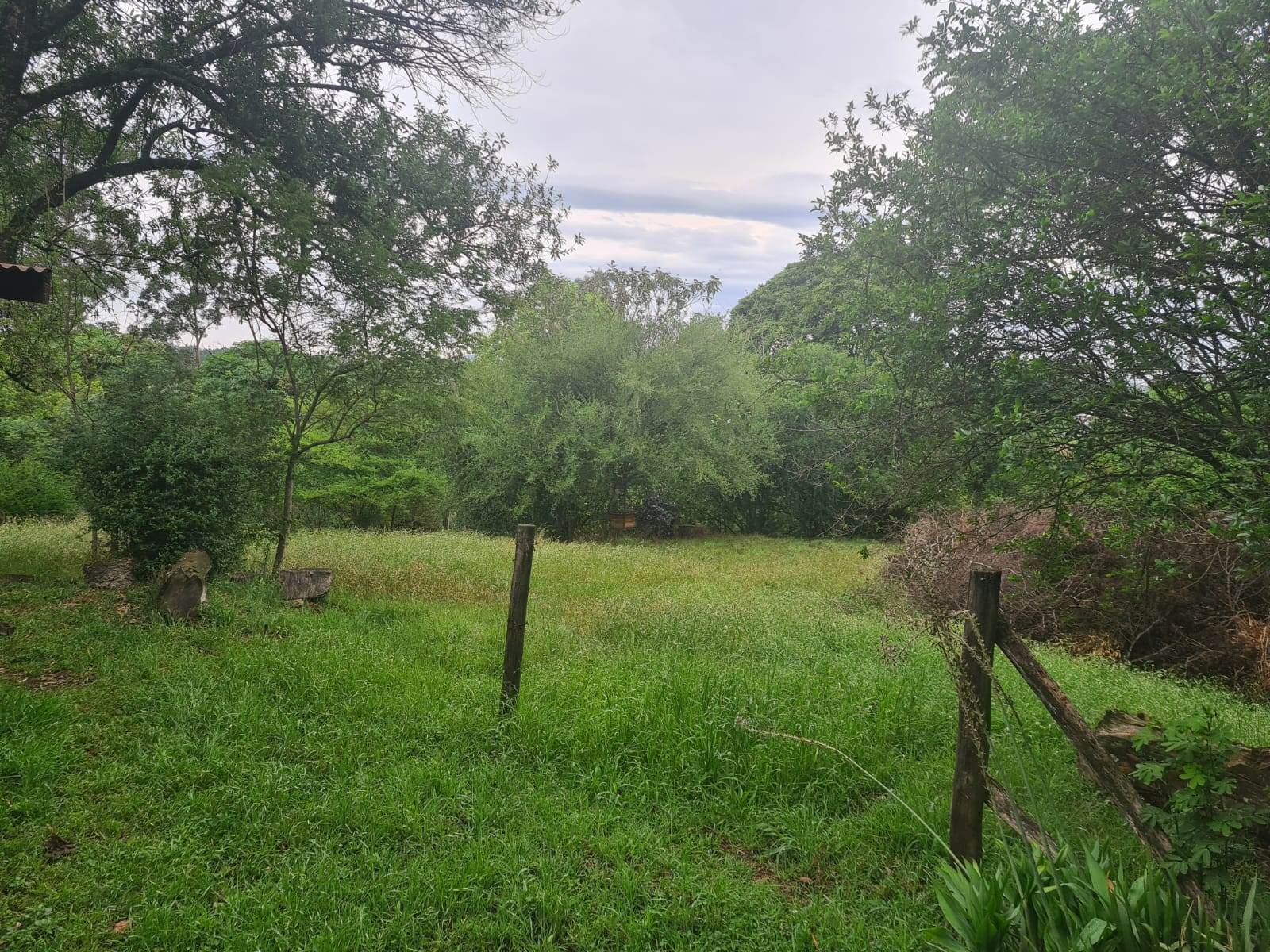 1.8 ha Land available in Howick photo number 12