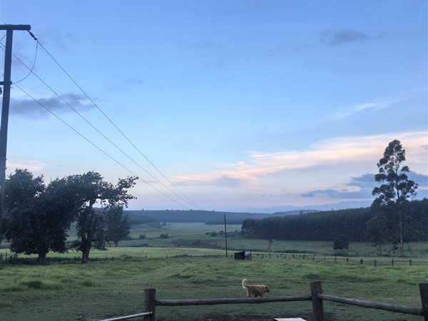 24.5 ha Smallholding