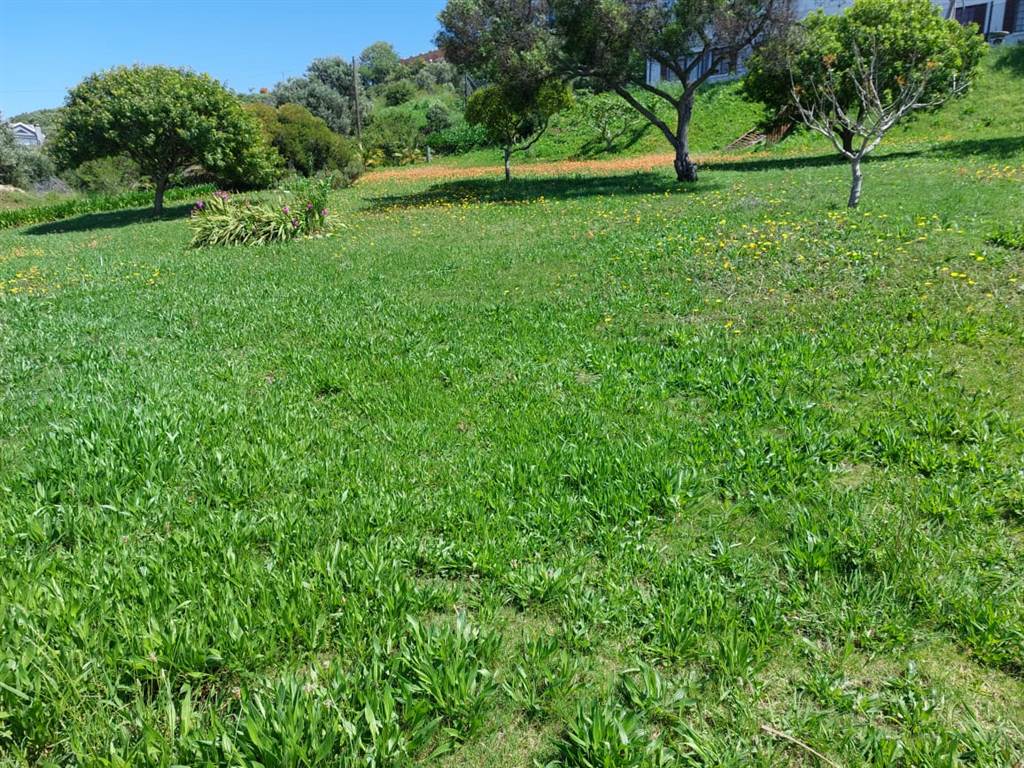 566 m² Land available in Great Brak River photo number 10