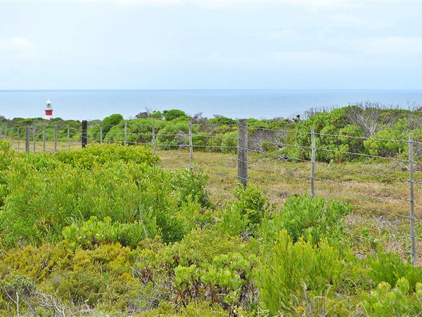 600 m² Land available in Agulhas