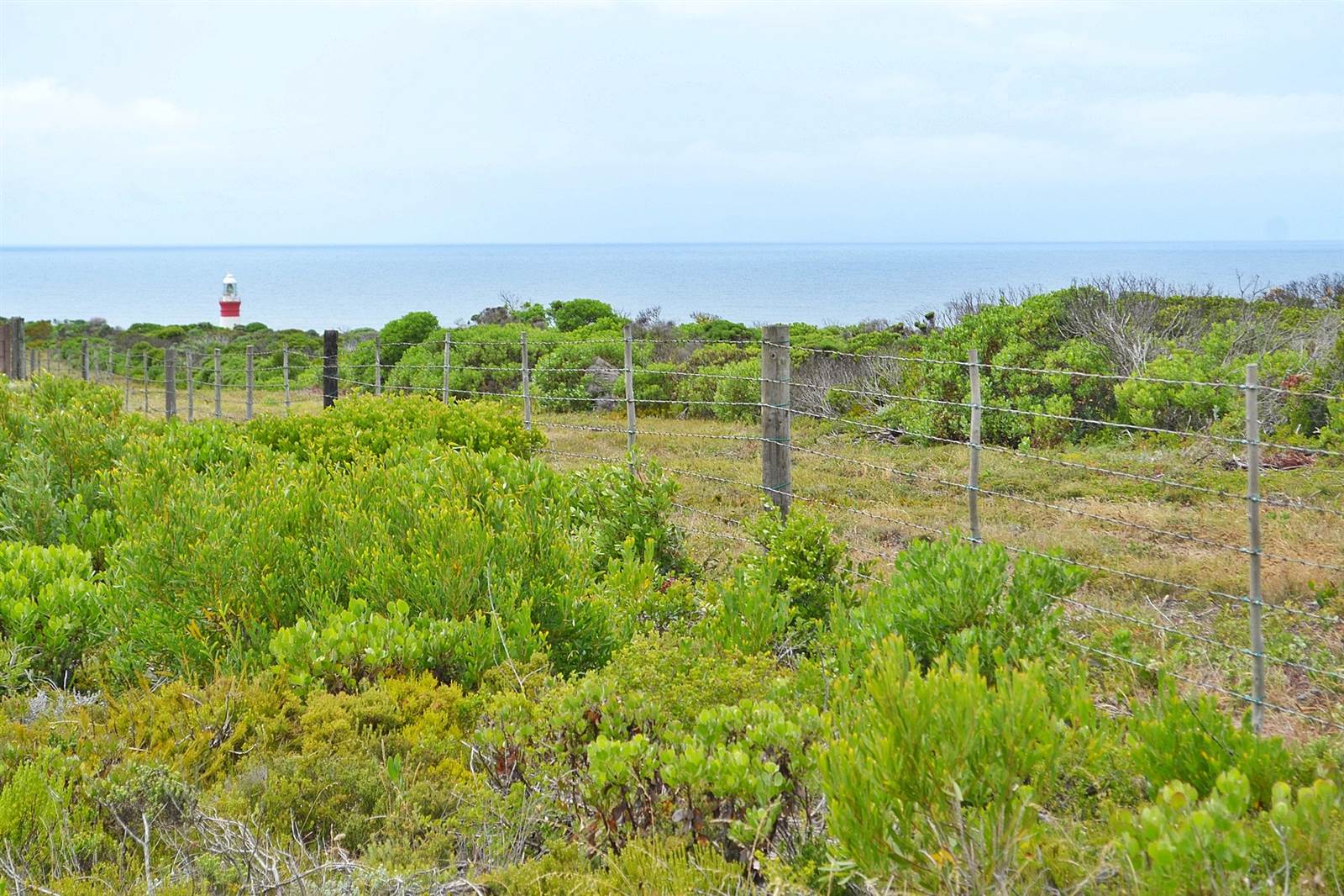 600 m² Land available in Agulhas photo number 4