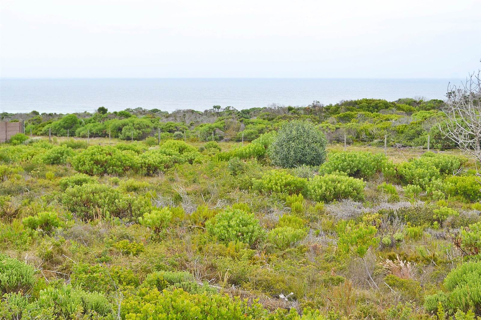 600 m² Land available in Agulhas photo number 6