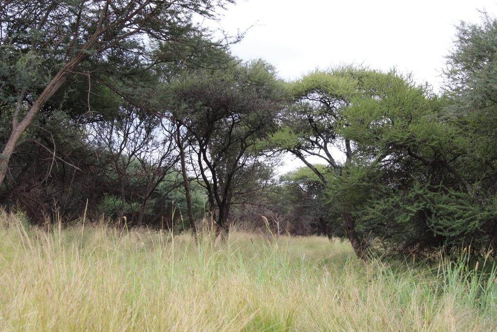1250 m² Land available in Northam photo number 8