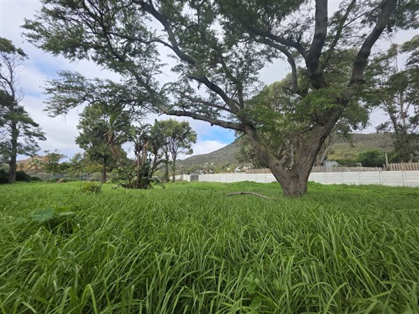 847 m² Land 847 m² Land