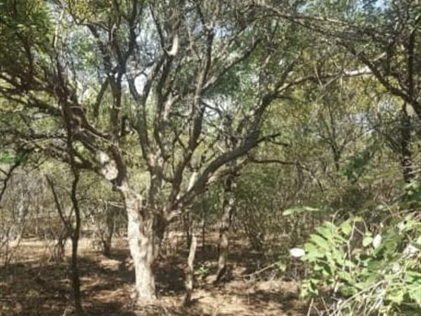 420 m² Land 420 m² Land
