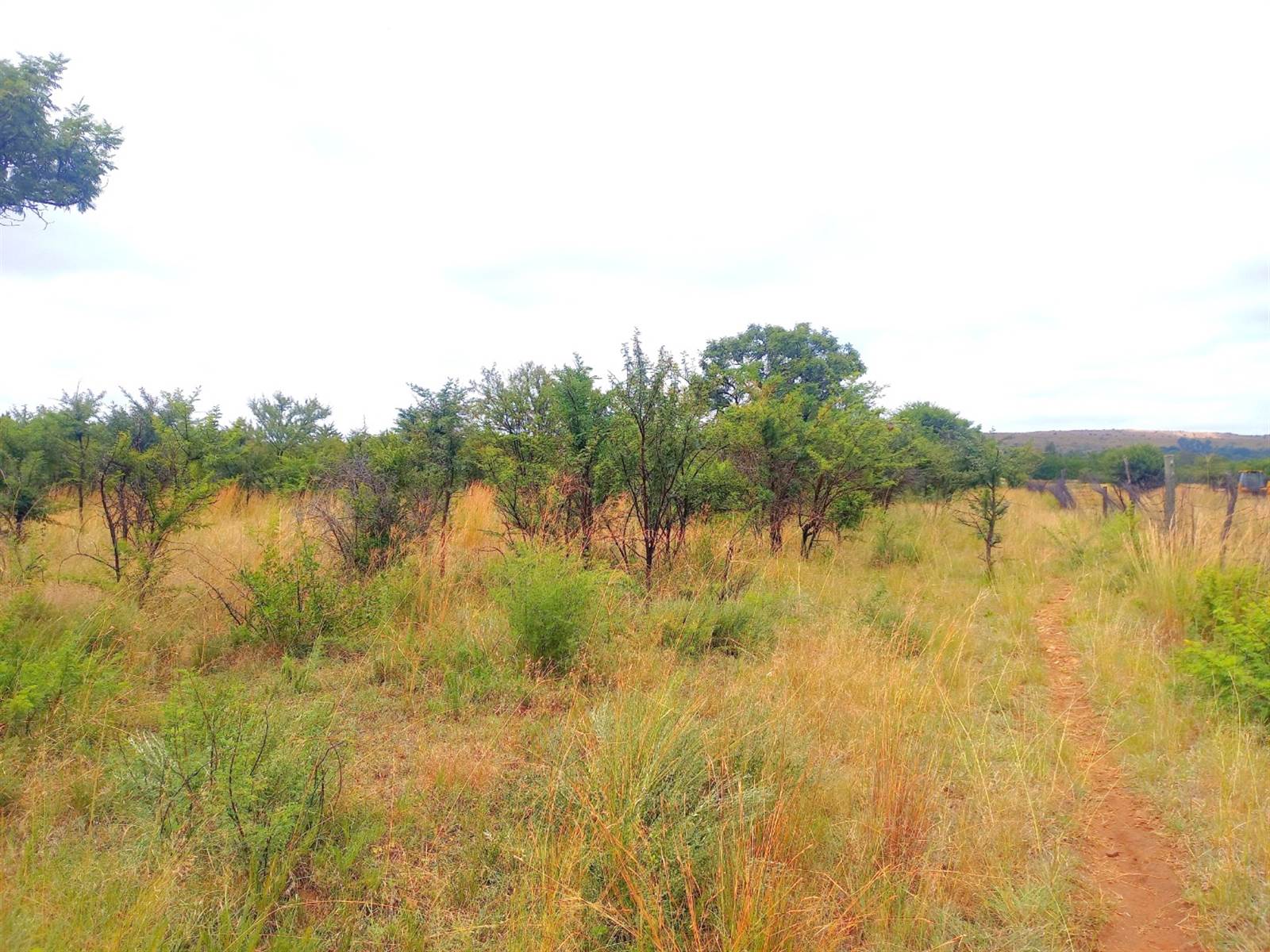 2.5 ha Land available in Rosslyn photo number 3