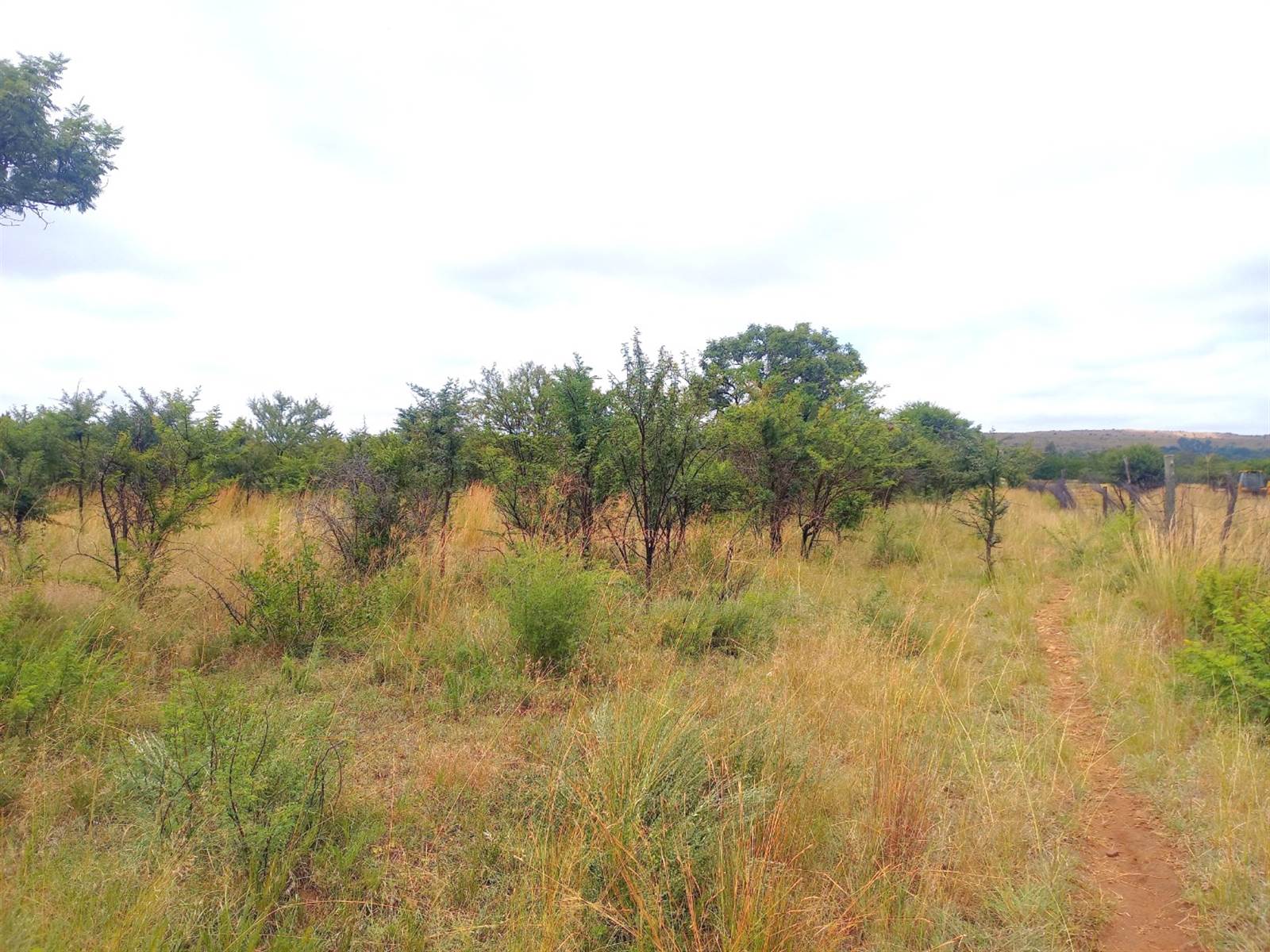 2.5 ha Land available in Rosslyn photo number 1