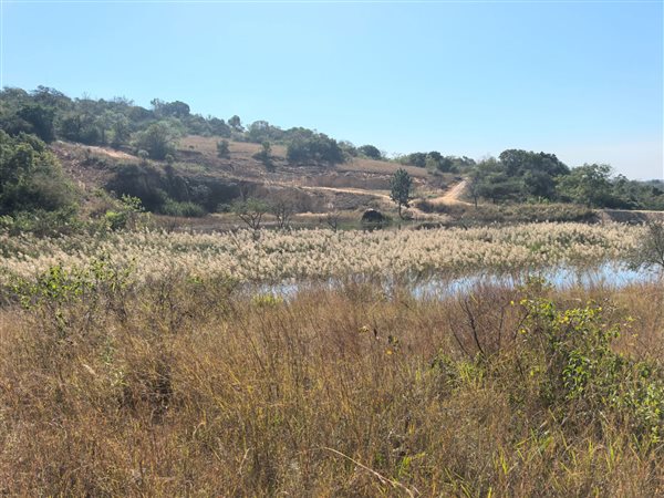 1.6 ha Land