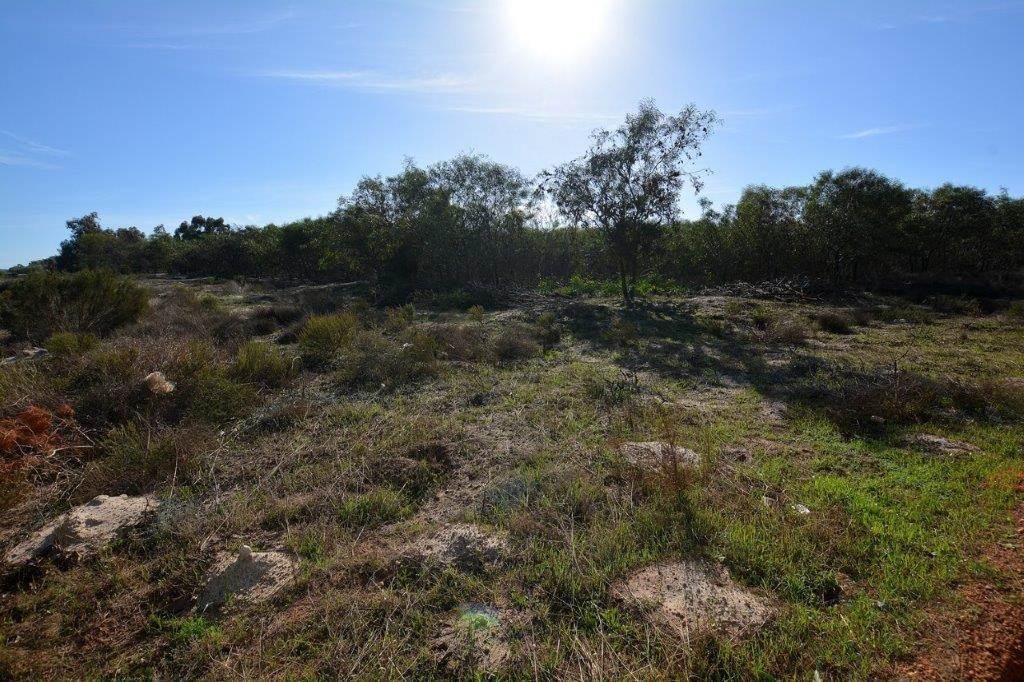 4.4 ha Land available in Morningstar photo number 5