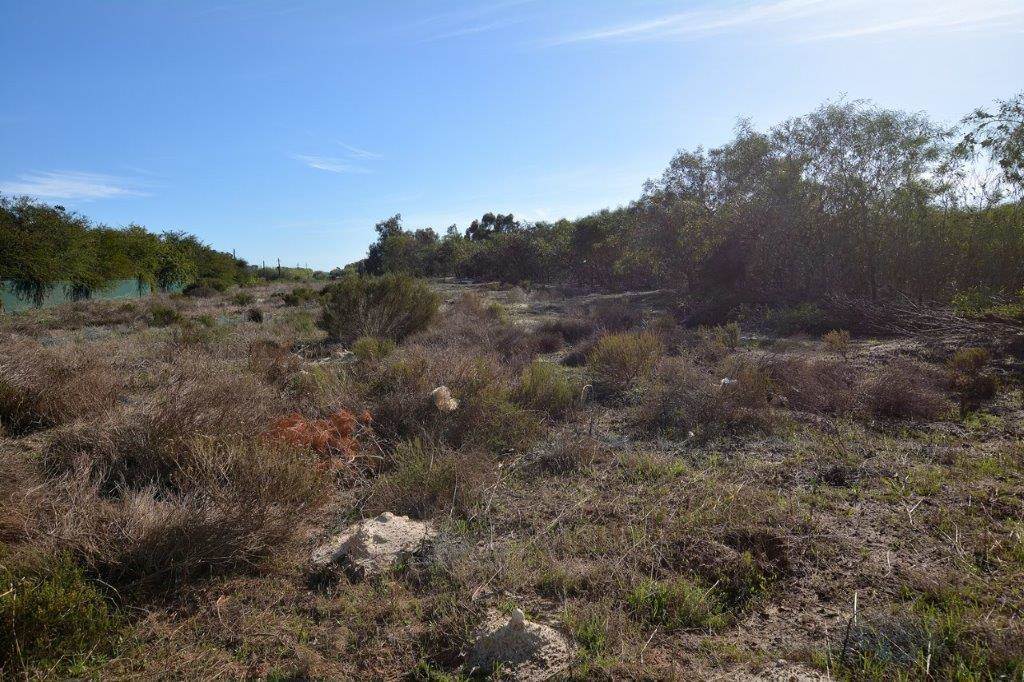 4.4 ha Land available in Morningstar photo number 1