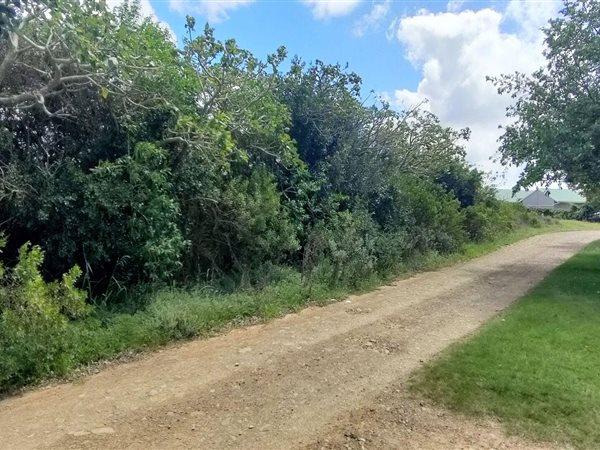 953 m² Land available in Boesmansriviermond