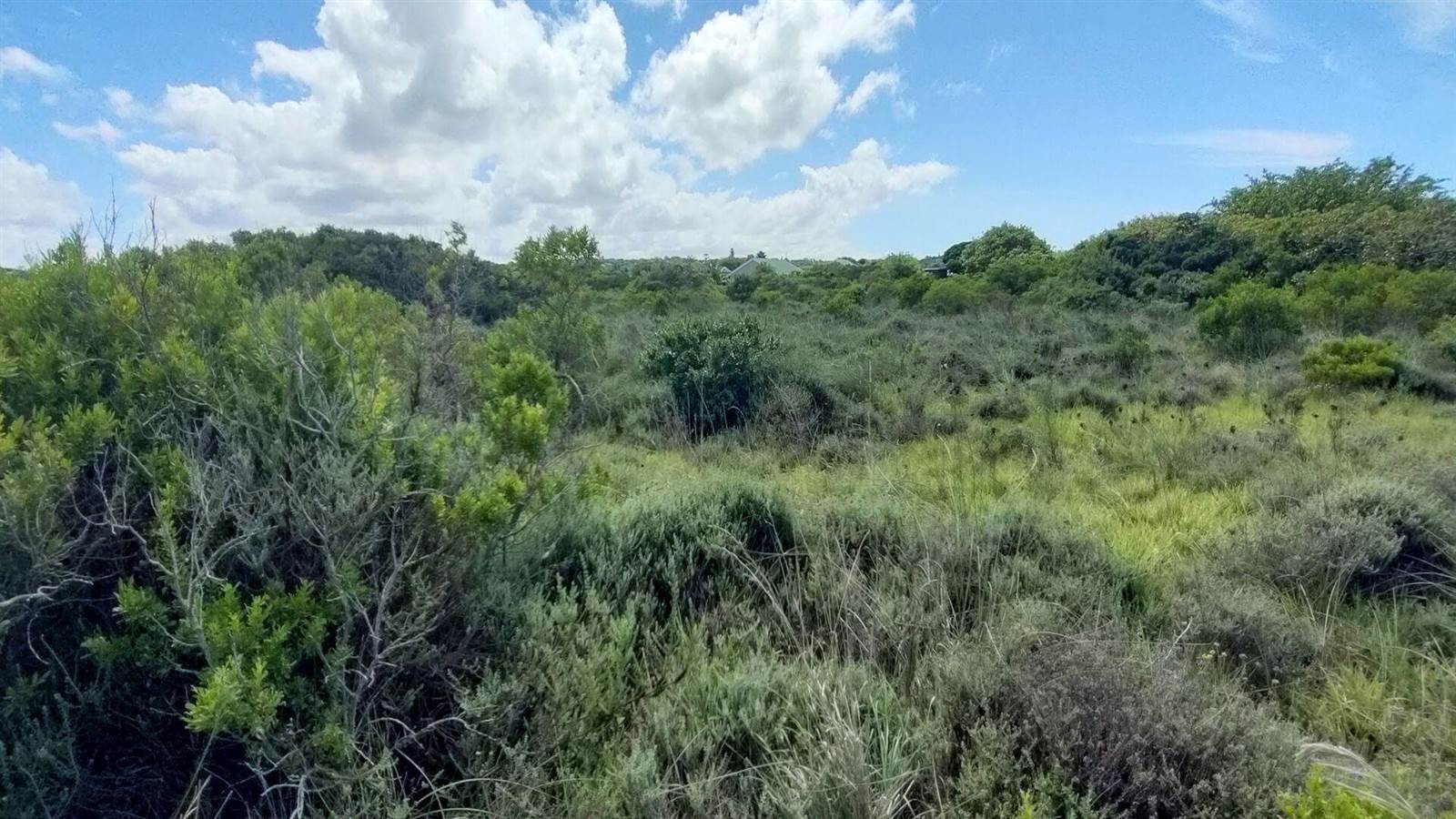 953 m² Land available in Boesmansriviermond photo number 14