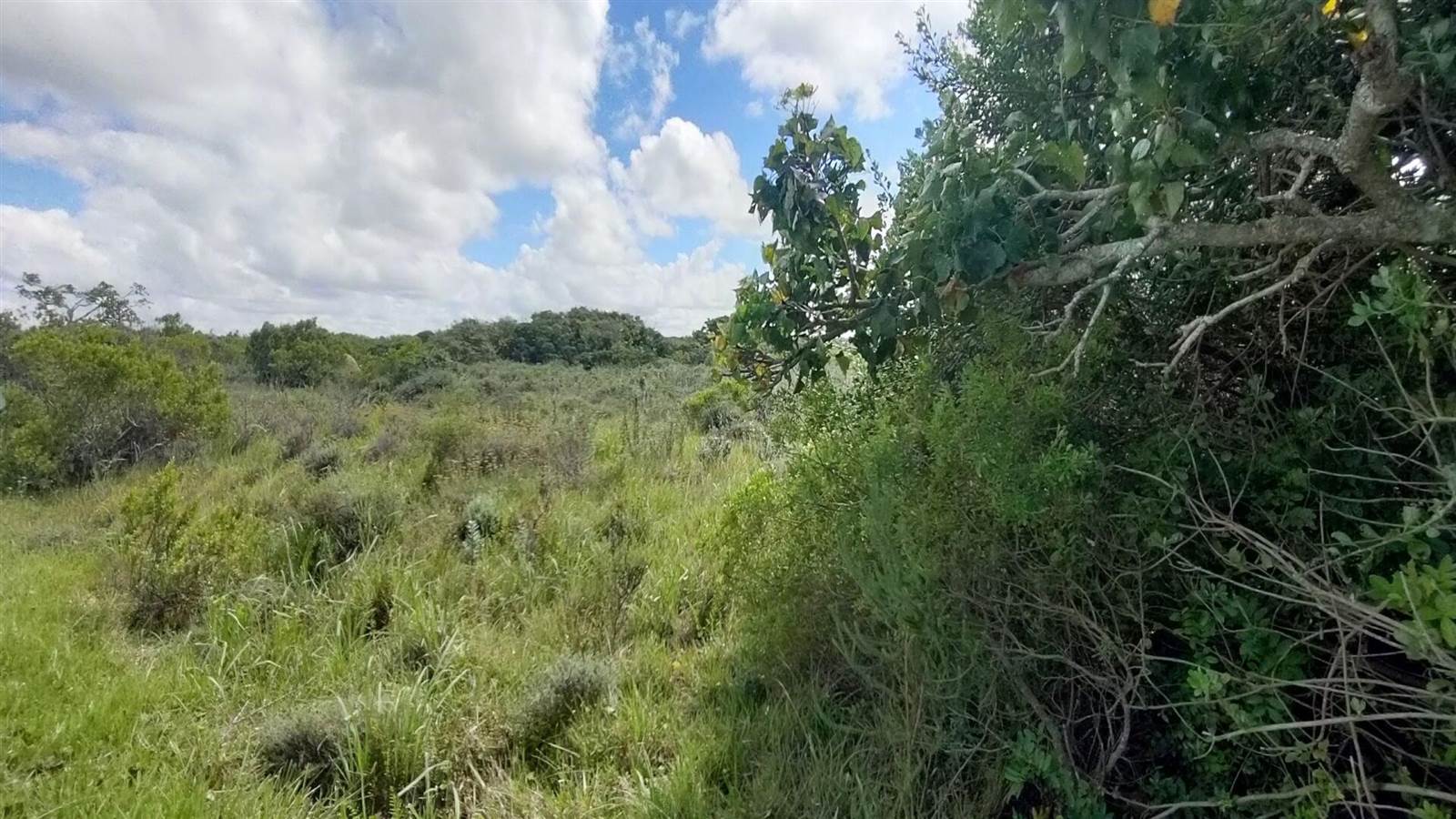 953 m² Land available in Boesmansriviermond photo number 16