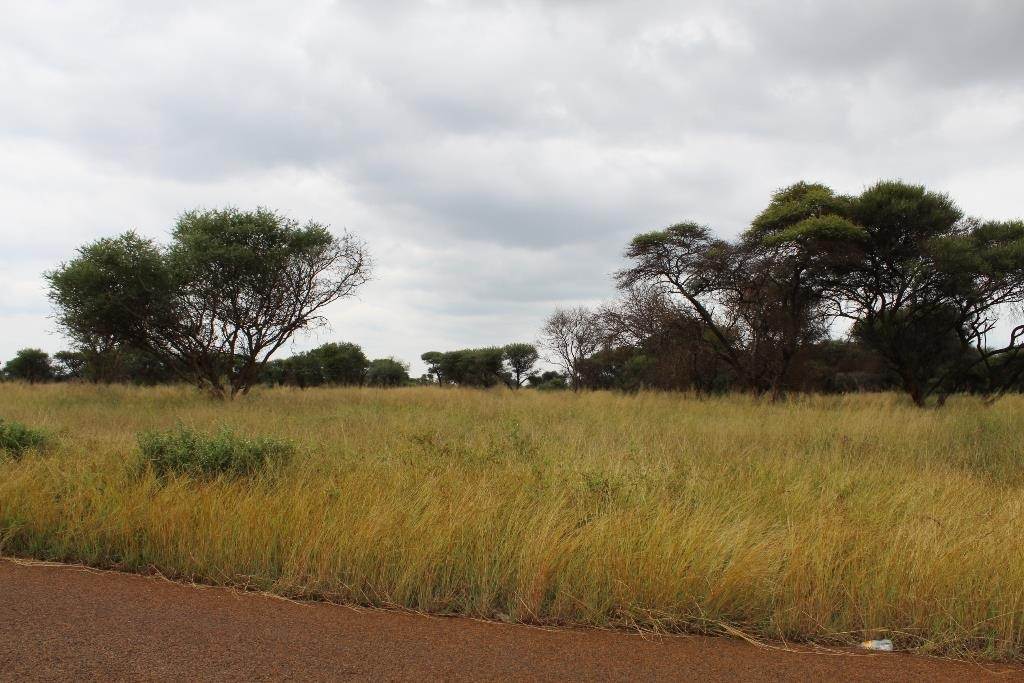 1250 m² Land available in Northam photo number 7