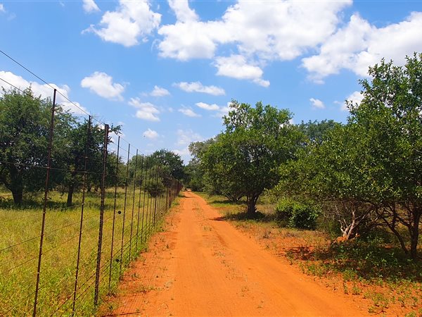 11.5 ha Smallholding